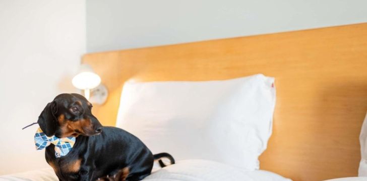 Põnev Rio de Janeiro ja 3* hotell IBIS RIO PORTO ATLANTICO! 21