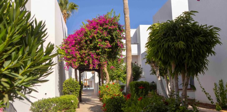 Reis Küprosele perega, 4* hotell KAPETANIOS AQUA RESORT! 6
