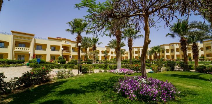 Seiklused Egiptuses, 4* hotell BLUE REEF RED SEA RESORT! 2