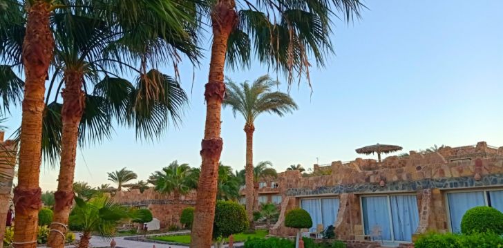 Perepuhkus Marsa Alamis, 4* UTOPIA BEACH CLUB! 7