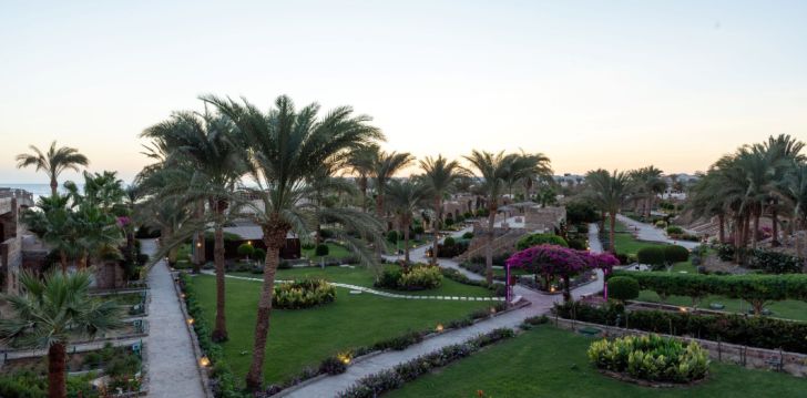 Perepuhkus Marsa Alamis, 4* UTOPIA BEACH CLUB! 12