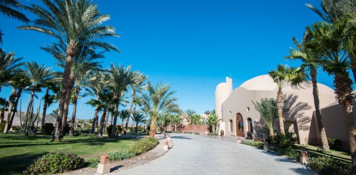 Rannapuhkus Egiptuses, 4* hotell SHAMS ALAM BEACH RESORT! 1