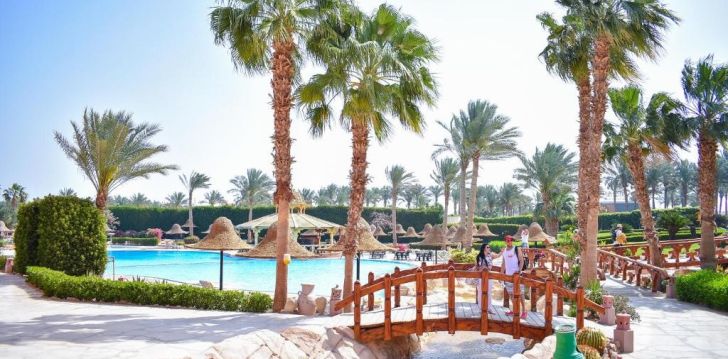 Luksuslik kuurorti puhkus Parrotel Aqua Park Resort (ex. Park Inn) 4* hotellis Egiptuses! 33