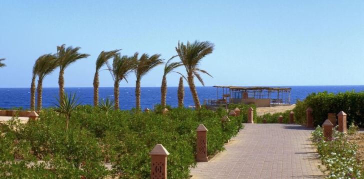 Imeline puhkus Hurghadas 4* VIVA BLUE RESORT SOMA BAY hotellis! 14