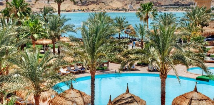 Puhkus palmide all Albatros Sharm Resort (Ex. Beach Albatros SSH) 4* hotellis Egiptuses! 1