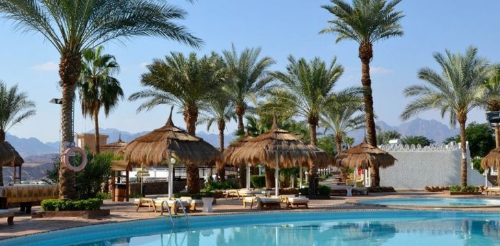 Puhkus palmide all Albatros Sharm Resort (Ex. Beach Albatros SSH) 4* hotellis Egiptuses! 7
