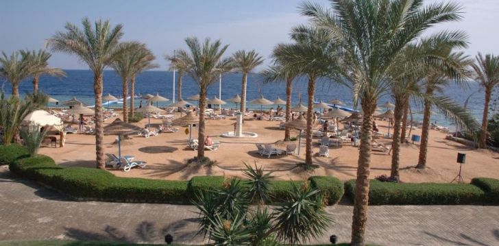 Puhkus QUEEN SHARM RESORT ( Ex. Vera Club Queen Sharm Beach) 4* hotellis Egiptuses! 16