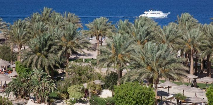 Puhkuse Punase mere ääres The Grand Makadi 5* hotellis Egiptuses! 13