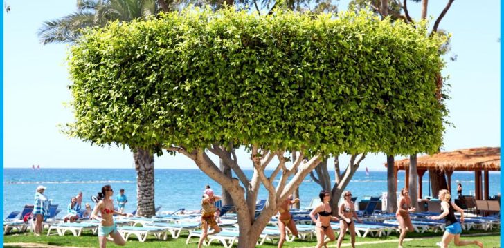 Rannapuhkus pere seltsis Küprose päikese all Poseidonia Beach Hotel 4*! 3