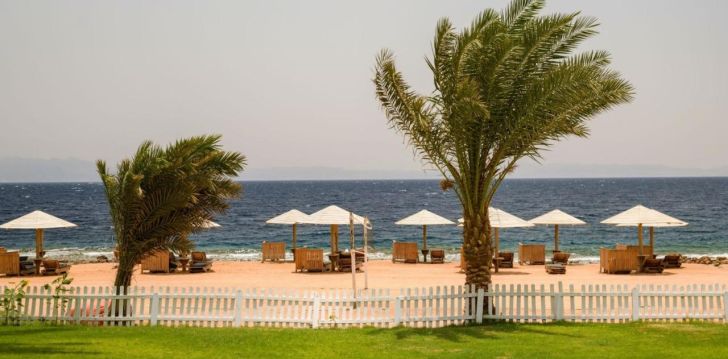 Boheemlaslik Dahab ja puhkus 4* hotellis TROPITEL DAHAB OASIS! 8