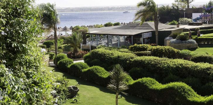 Perereis või puhkus sõpradega Hurghadas, 5* hotell PRIMA LIFE MAKADI RESORT & SPA! 9