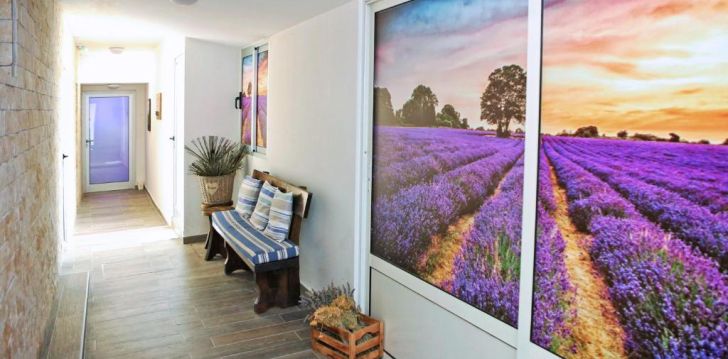Avasta Horvaatiat, peatu Zadaris 3* hotellis HOTEL DELFIN! 19
