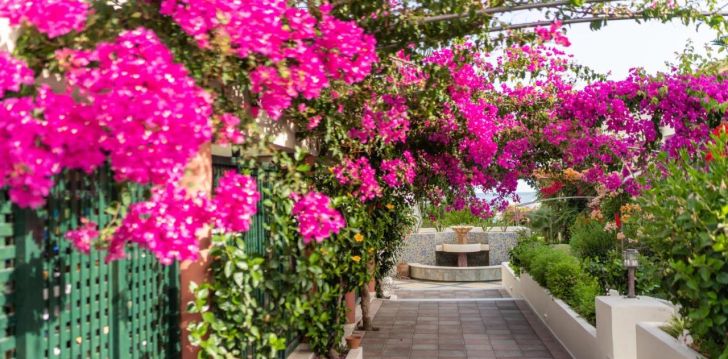 HYDRAMIS PALACE BEACH RESORT