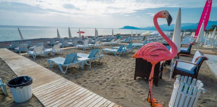 Reis Türki, puhka 5* hotellis CAMPUS HILL! 26