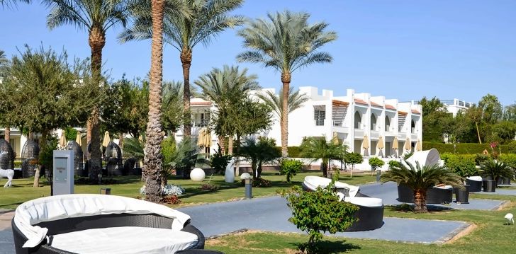 Sukeldumine ja veeliumäed Egiptuse 5* hotellis SUNRISE MONTEMARE RESORT Sharm el Sheikhis! 4