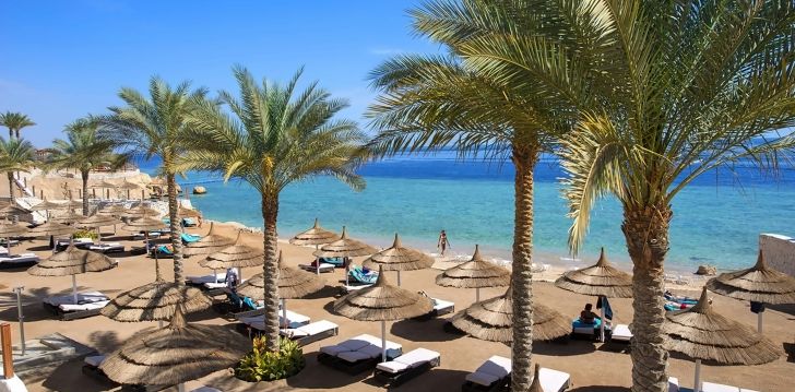 Sukeldumine ja veeliumäed Egiptuse 5* hotellis SUNRISE MONTEMARE RESORT Sharm el Sheikhis! 26