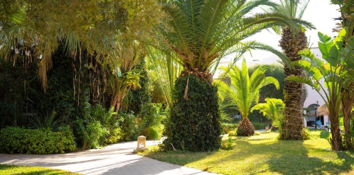 Puhkus 4* hotellis EDEN YASMINE RESORT & SPA, Tuneesias! 7