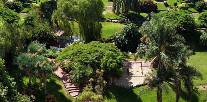 Igavese kevade saar Tenerife ja puhkus 4* hotellis PARQUE VACACIONAL EDEN! 7