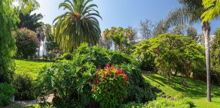 Igavese kevade saar Tenerife ja puhkus 4* hotellis PARQUE VACACIONAL EDEN! 8