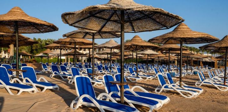 Puhkus Sharm el Sheikhis, 4* IVY CYRENE SHARM (ADULTS ONLY 13+) hotellis! 40