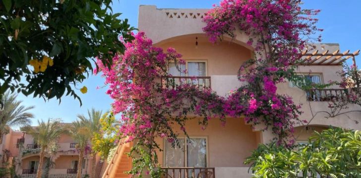 Perepuhkus Marsa Alamis 5* hotellis DREAM LAGOON AQUA PARK AND RESORT! 8