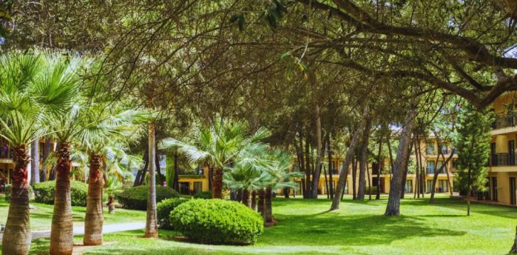 Imekaunis Mallorca ja 4* hotell VELL MARI HOTEL & RESORT! 38