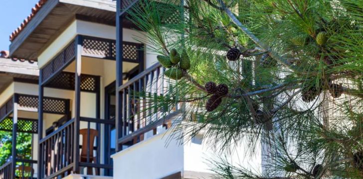 Meeldejäävad elamused Sides, 5* hotellis CLUB NENA HOLIDAY RESORT! 39