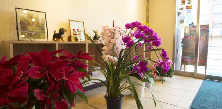 Puhkus põnevas Tokyos, 2* hotellis PALACE JAPAN! 19