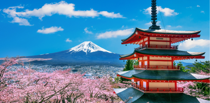 Ainulaadne Tokyo - peatu 3* hotellis APA HOTEL AYASE-EKIMAE! 13