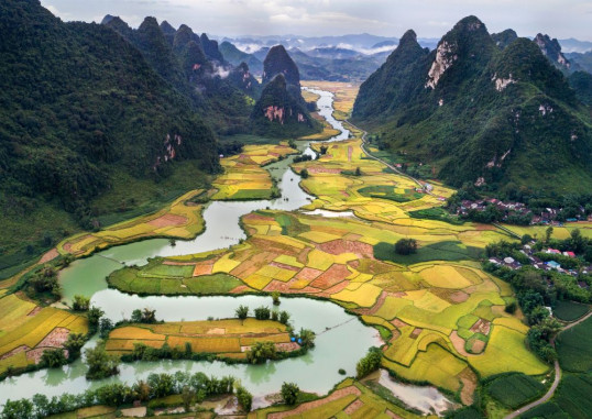 Põhja-Vietnam Vietnam 7