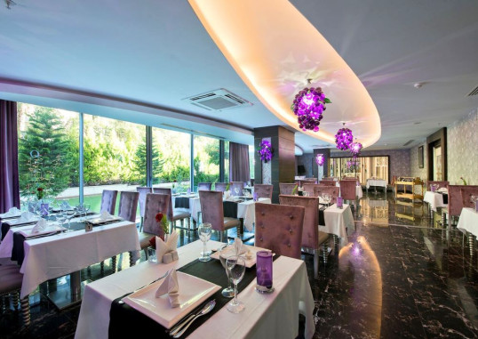 Q PREMIUM RESORT 10