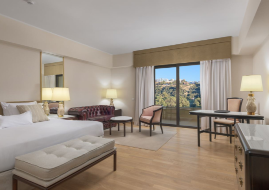 RODOS PALACE 21