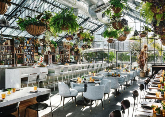 THE LINE HOTEL 2