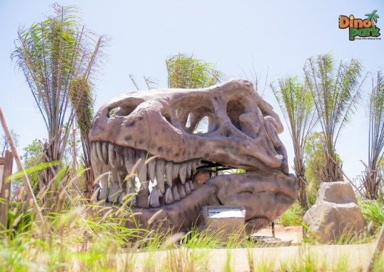 WONDERLAND RESORT PHAN THIET 33