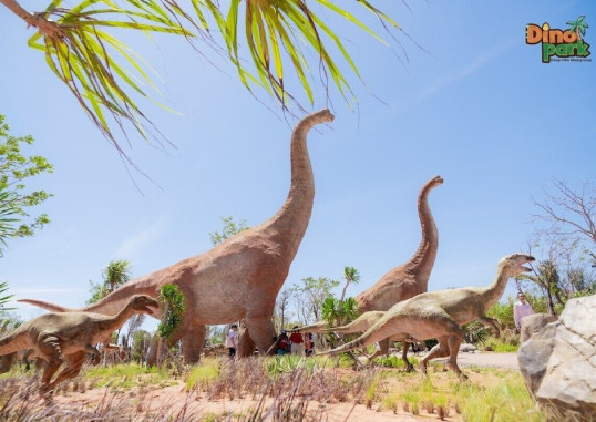 WONDERLAND RESORT PHAN THIET 35