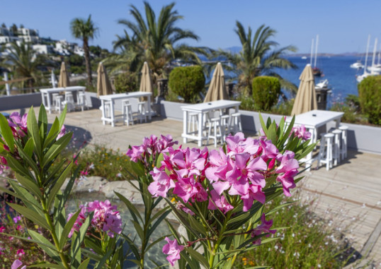 DIAMOND OF BODRUM 44