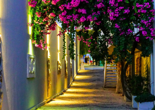 BLUE DREAMS RESORT 65