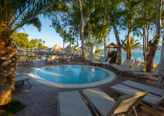 LONG BEACH CLUB NATURE 12