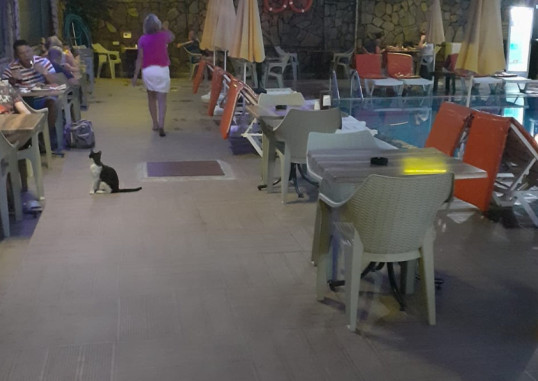 SUN VERA HOTEL 34