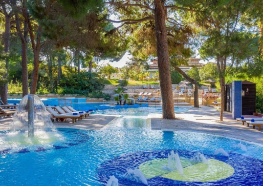 ASTERIA FAMILY BELEK 7
