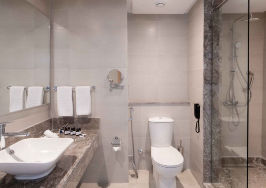 PICKALBATROS LUXURY SUITES 60