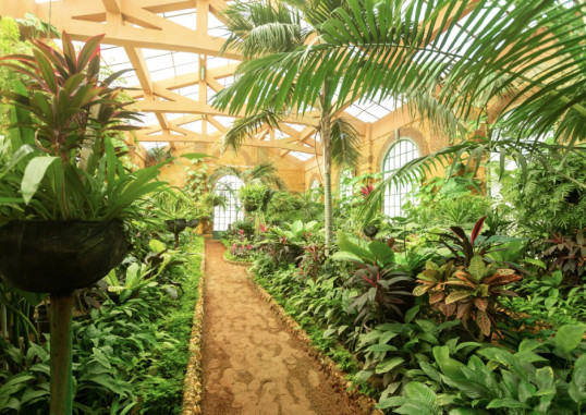 RIXOS MONTAZA ALEXANDRIA 13