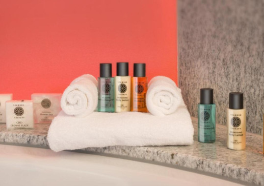 CROWNE PLAZA ZURICH 12