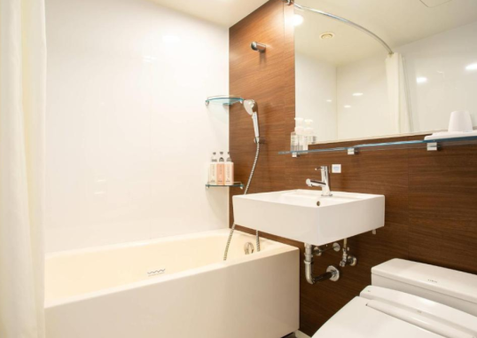 COMFORT HOTEL TOKYO HIGASHI KANDA 6