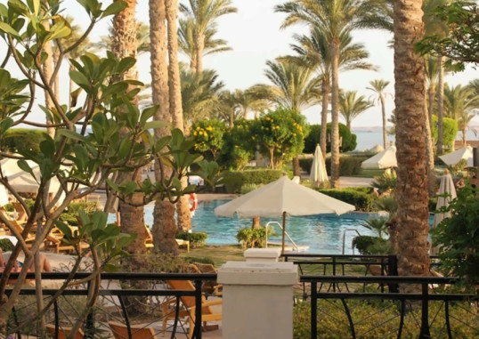 PICKALBATROS THE PALACE - PORT GHALIB 3