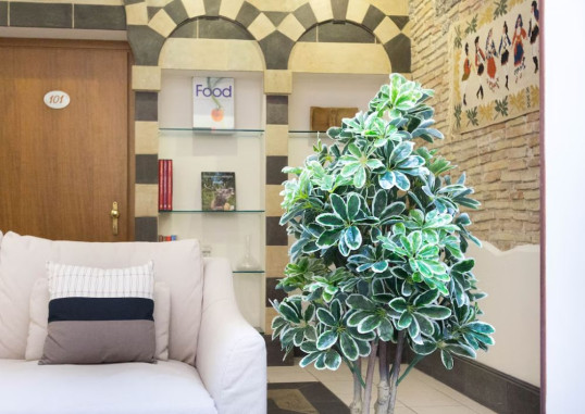 AFFITTACAMERE ARCOBALENO 5