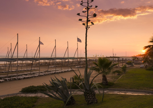 TERRACE BEACH RESORT HOTEL 32