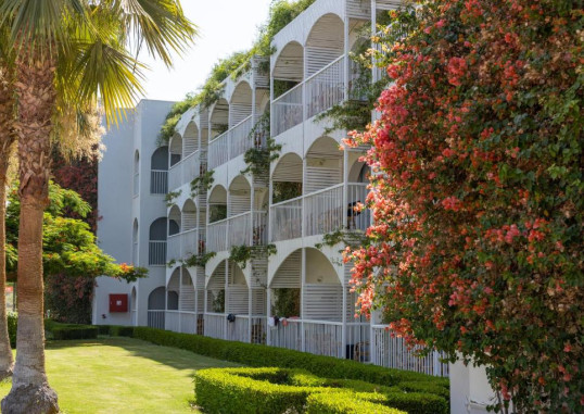 DESERT ROSE RESORT HURGHADA 9