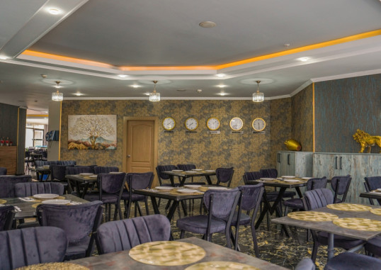 GRAND ALISA HOTEL (EX ROYALISA HOTEL) 17