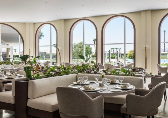 PICKALBATROS LUXURY SUITES (EX. GOLF VILLAS & SUITES) 23